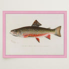 Brook Trout Fish Vintage Wall Art Print-Skudaboo