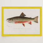 Brook Trout Fish Vintage Wall Art Print-Skudaboo