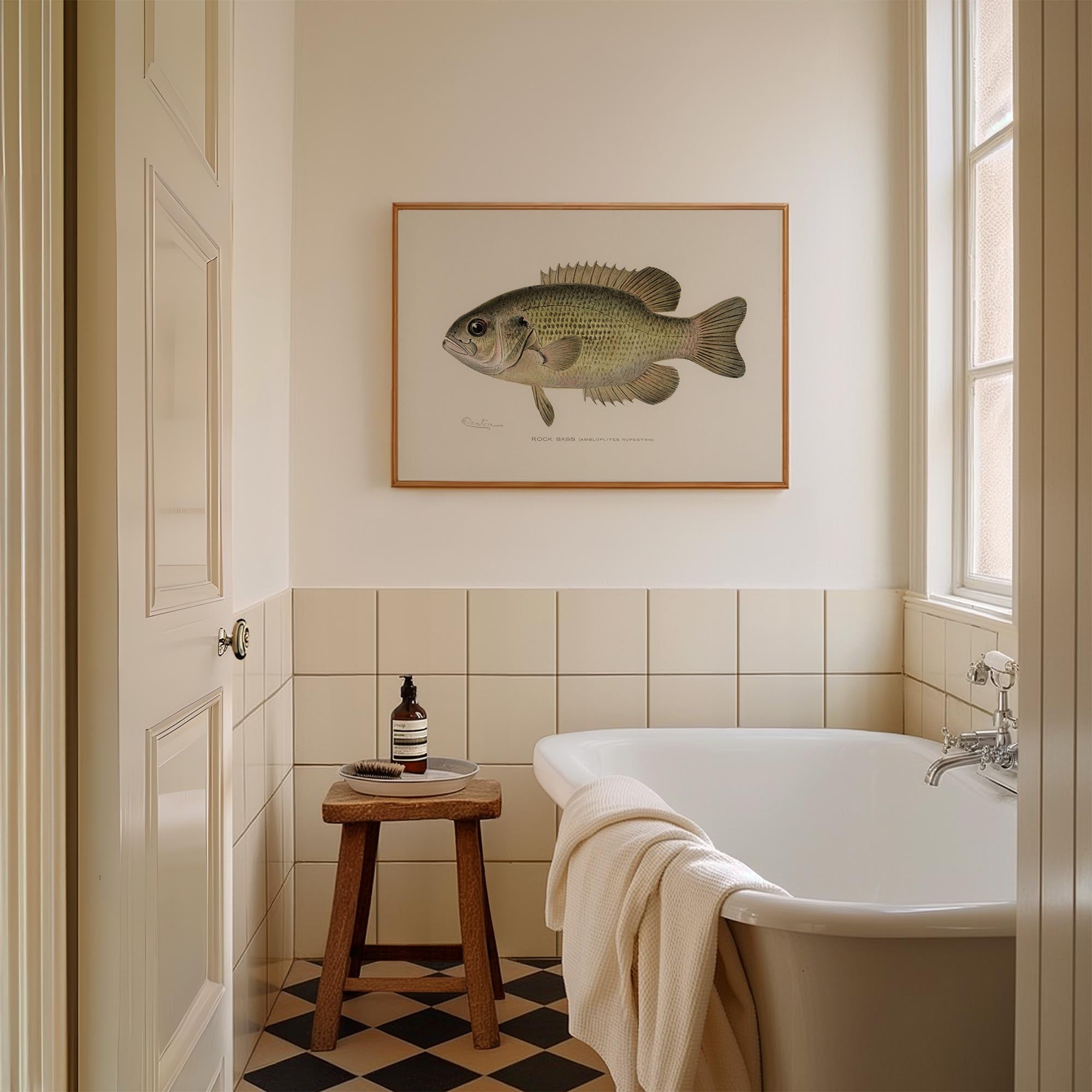 Rock Bass Fish Vintage Wall Art Print-Skudaboo