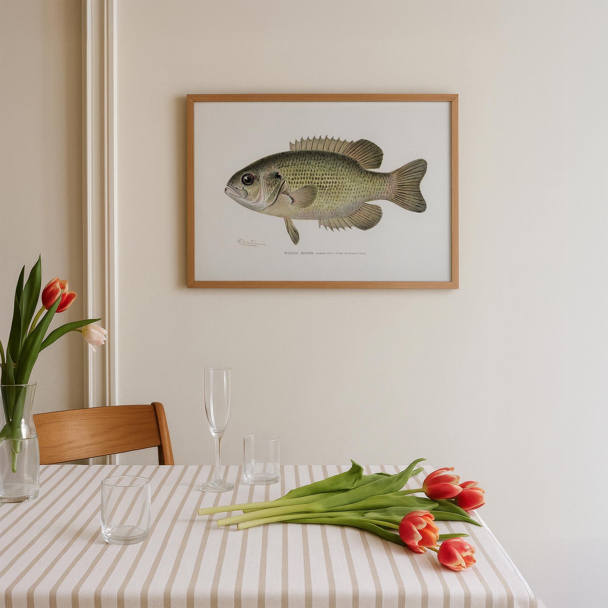 Rock Bass Fish Vintage Wall Art Print-Skudaboo