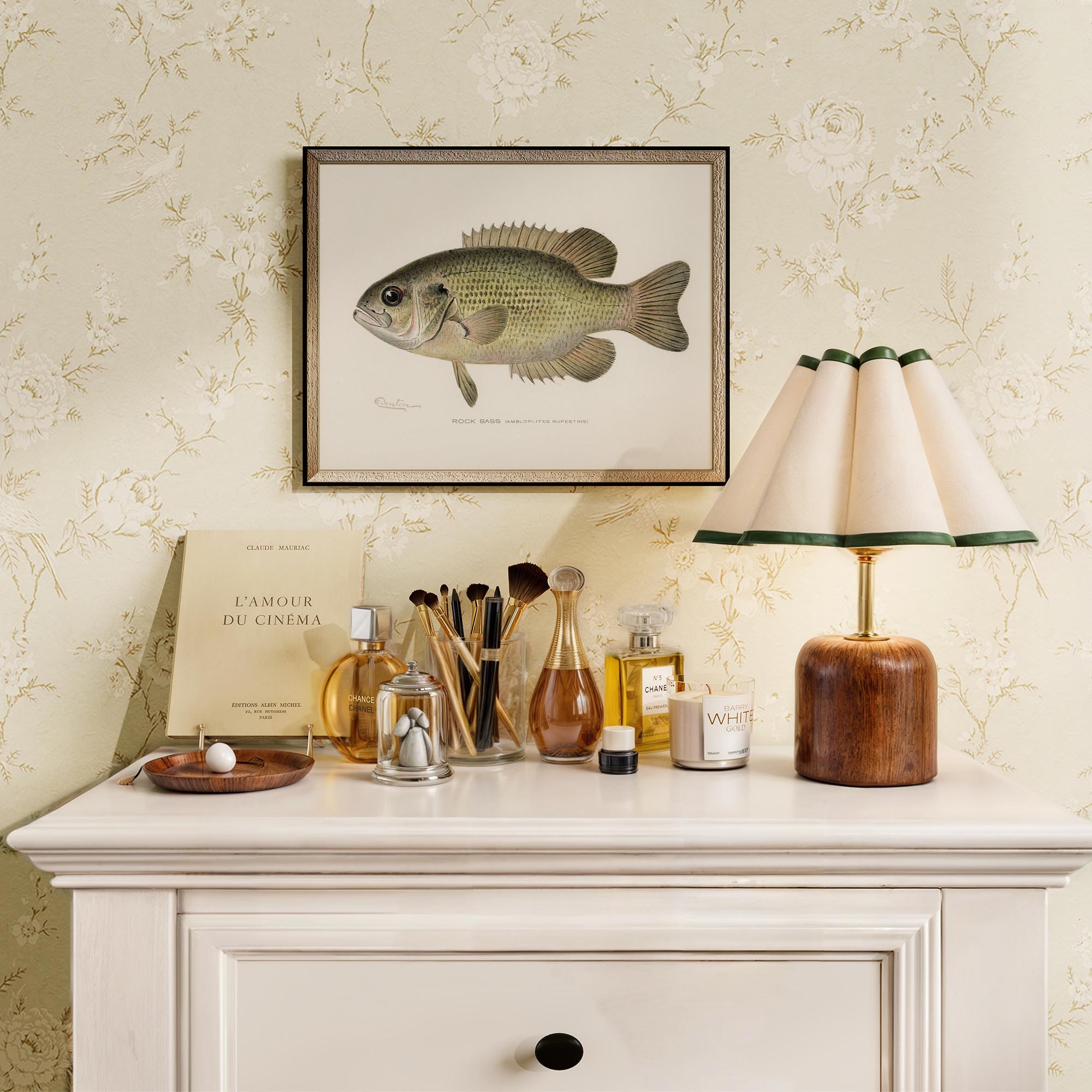 Rock Bass Fish Vintage Wall Art Print-Skudaboo