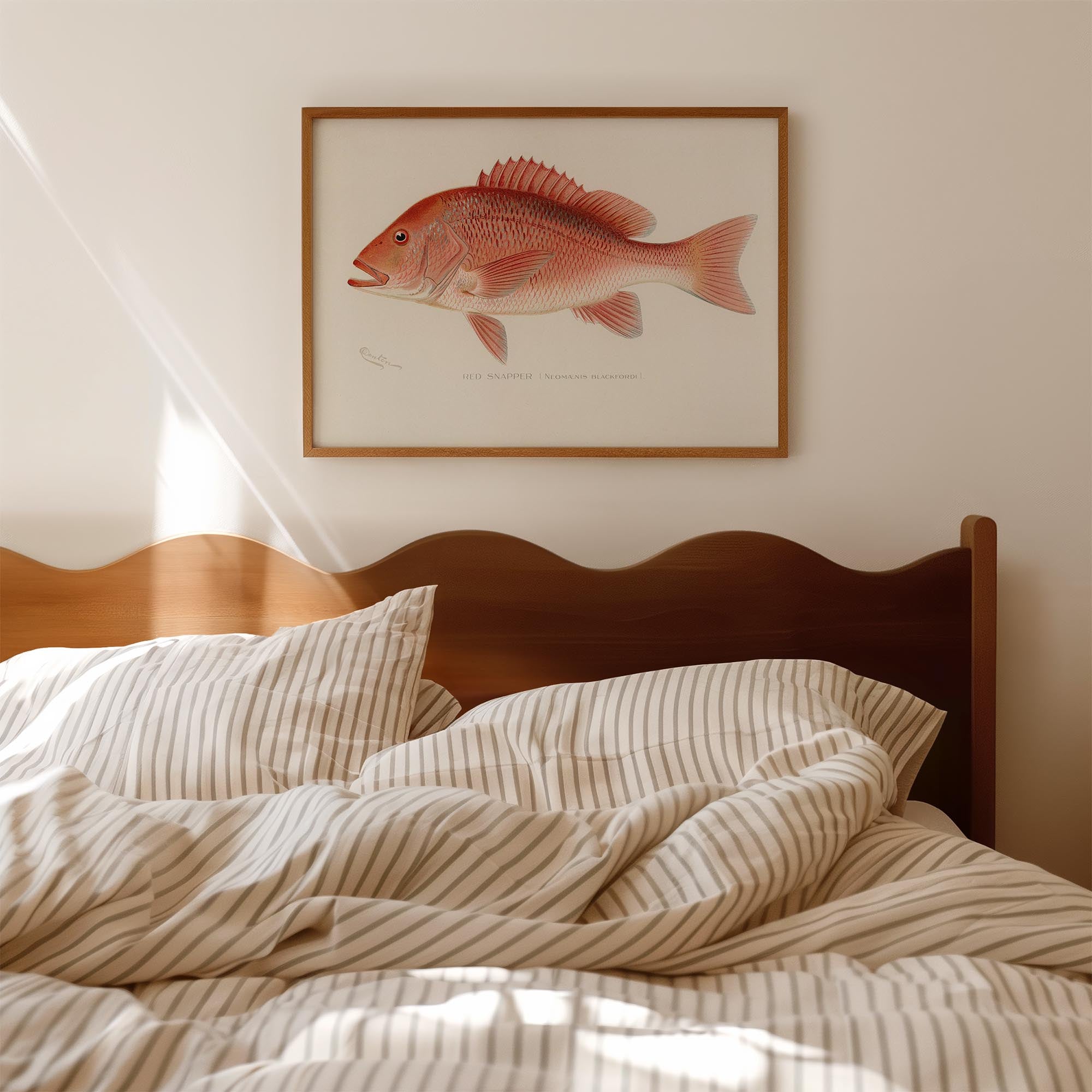 Red Snapper Fish Vintage Wall Art Print-Skudaboo