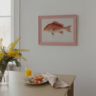 Red Snapper Fish Vintage Wall Art Print-Skudaboo