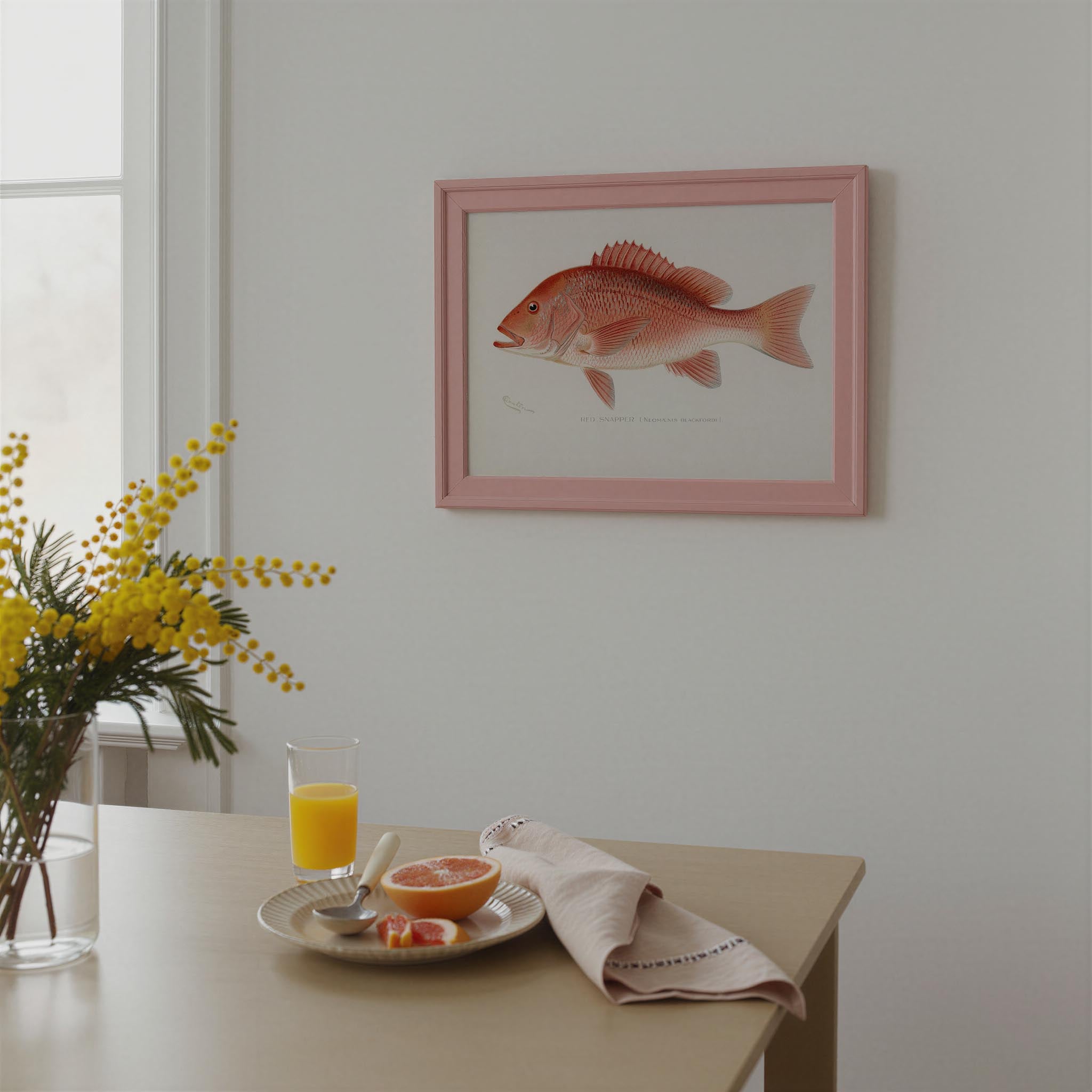 Red Snapper Fish Vintage Wall Art Print-Skudaboo