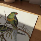Barnard's Parakeet Vintage Bird Illustration Wall Art Print-Skudaboo