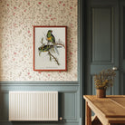 Barnard's Parakeet Vintage Bird Illustration Wall Art Print-Skudaboo