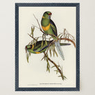 Barnard's Parakeet Vintage Bird Illustration Wall Art Print-Skudaboo