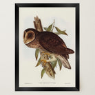Vintage Owl Illustration Wall Art Print-Skudaboo