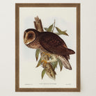 Vintage Owl Illustration Wall Art Print-Skudaboo