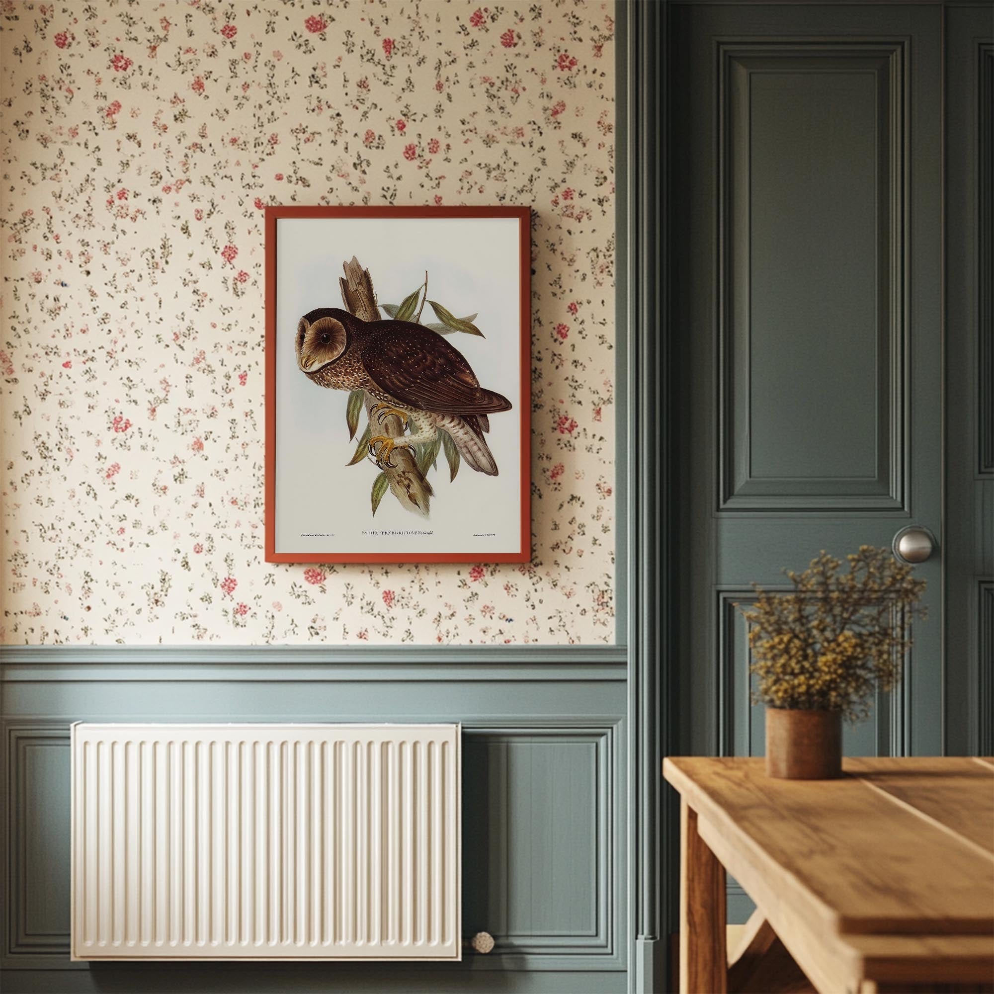 Vintage Owl Illustration Wall Art Print-Skudaboo