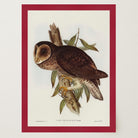 Vintage Owl Illustration Wall Art Print-Skudaboo