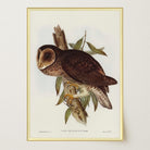 Vintage Owl Illustration Wall Art Print-Skudaboo