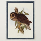 Vintage Owl Illustration Wall Art Print-Skudaboo