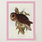 Vintage Owl Illustration Wall Art Print-Skudaboo