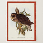 Vintage Owl Illustration Wall Art Print-Skudaboo