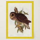 Vintage Owl Illustration Wall Art Print-Skudaboo