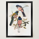 Vintage Bird Study Wall Art Print-Skudaboo