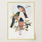 Vintage Bird Study Wall Art Print-Skudaboo