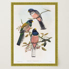 Vintage Bird Study Wall Art Print-Skudaboo