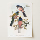 Vintage Bird Study Wall Art Print-Skudaboo