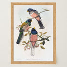 Vintage Bird Study Wall Art Print-Skudaboo