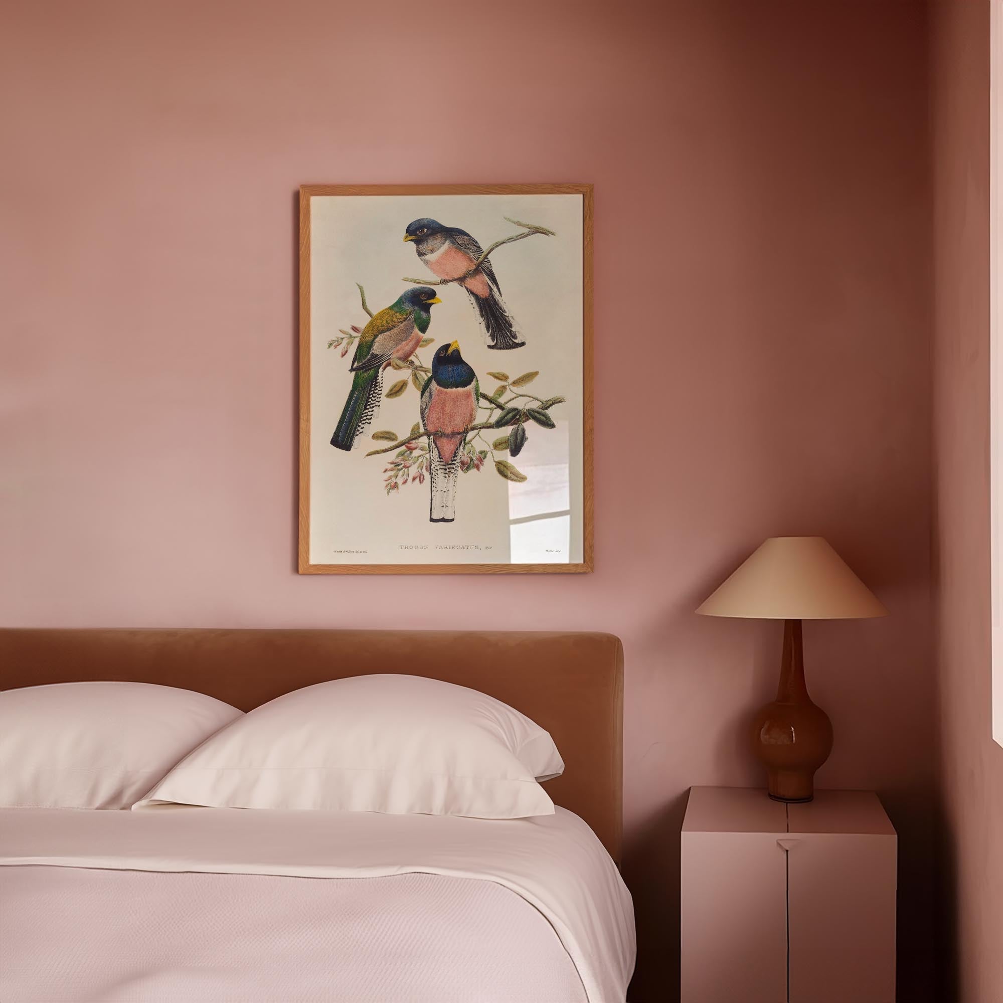 Vintage Bird Study Wall Art Print-Skudaboo