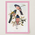 Vintage Bird Study Wall Art Print-Skudaboo