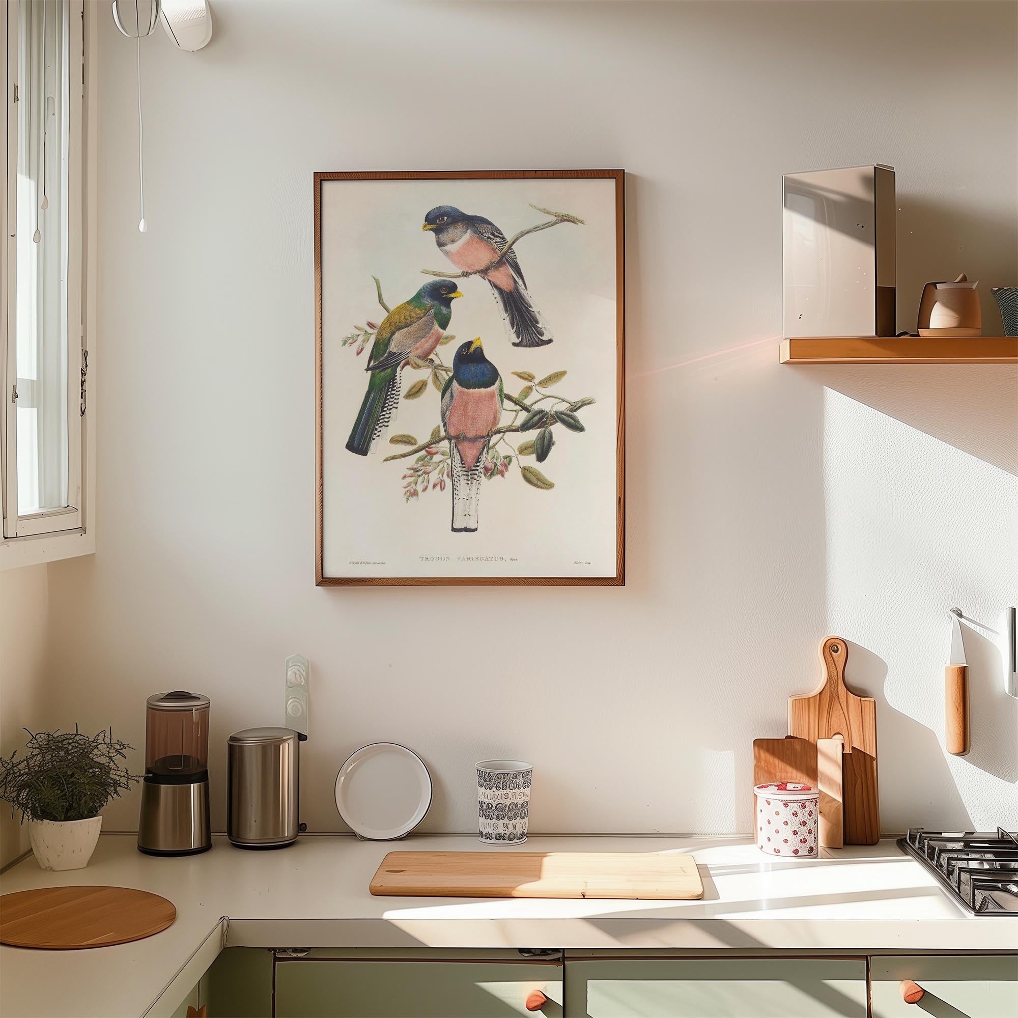 Vintage Bird Study Wall Art Print-Skudaboo