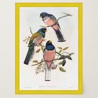 Vintage Bird Study Wall Art Print-Skudaboo
