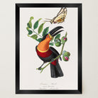 Toucan Tropical Bird Vintage Wall Art Print-Skudaboo