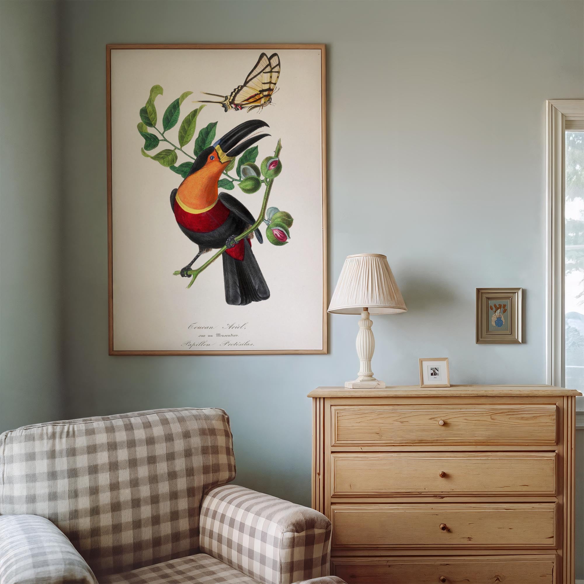 Toucan Tropical Bird Vintage Wall Art Print-Skudaboo