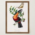 Toucan Tropical Bird Vintage Wall Art Print-Skudaboo
