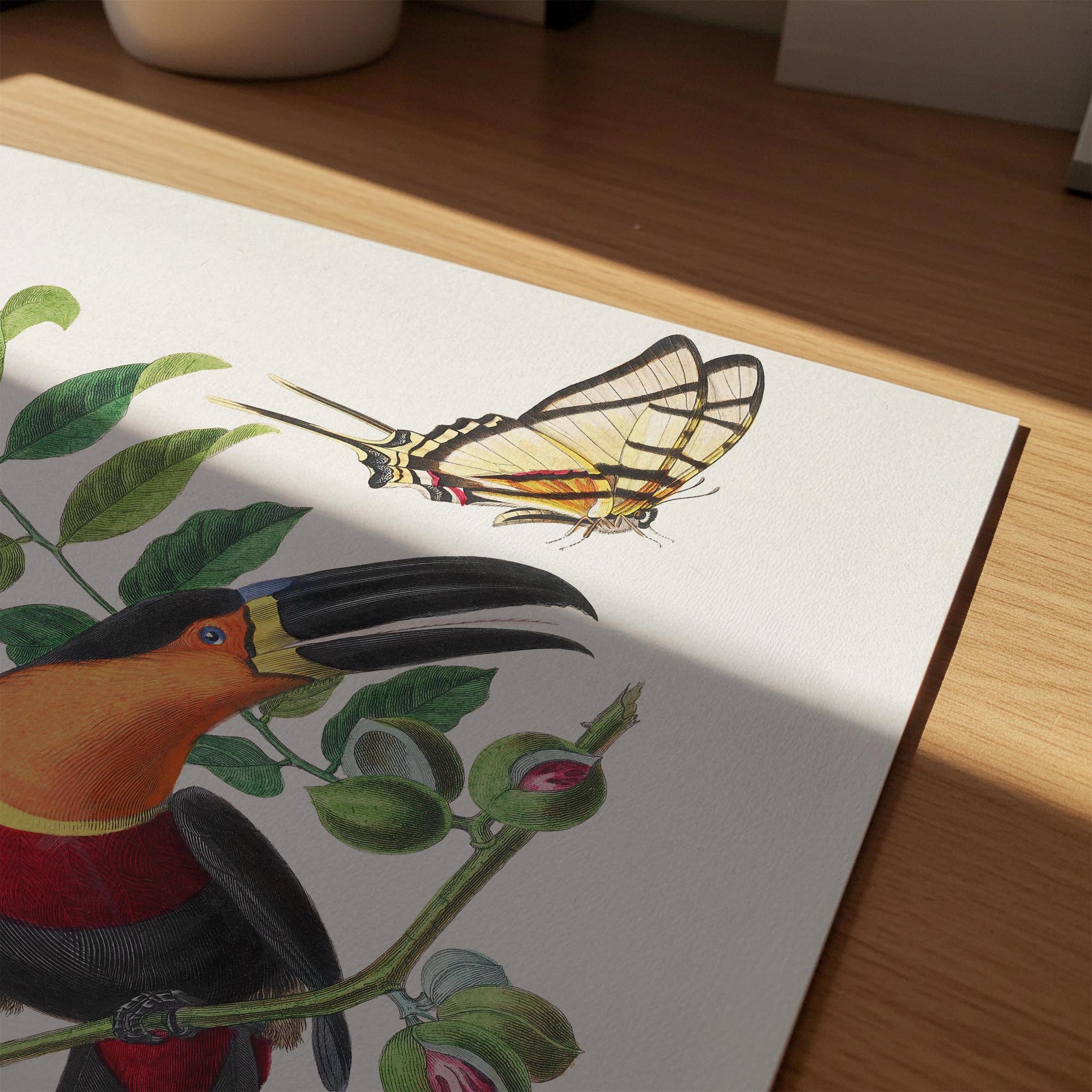 Toucan Tropical Bird Vintage Wall Art Print-Skudaboo