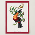Toucan Tropical Bird Vintage Wall Art Print-Skudaboo
