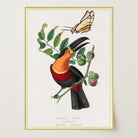 Toucan Tropical Bird Vintage Wall Art Print-Skudaboo