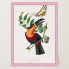 Toucan Tropical Bird Vintage Wall Art Print-Skudaboo