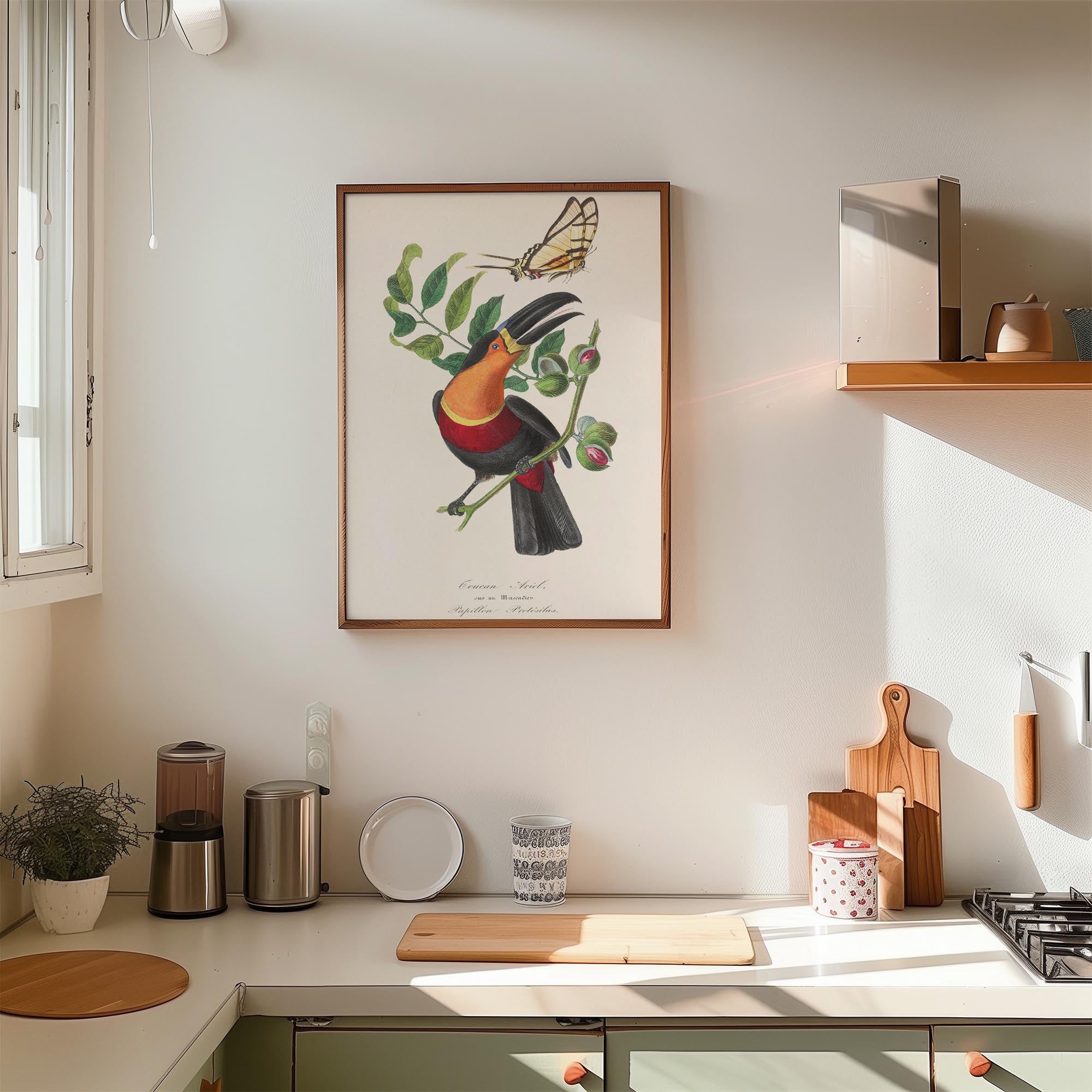 Toucan Tropical Bird Vintage Wall Art Print-Skudaboo