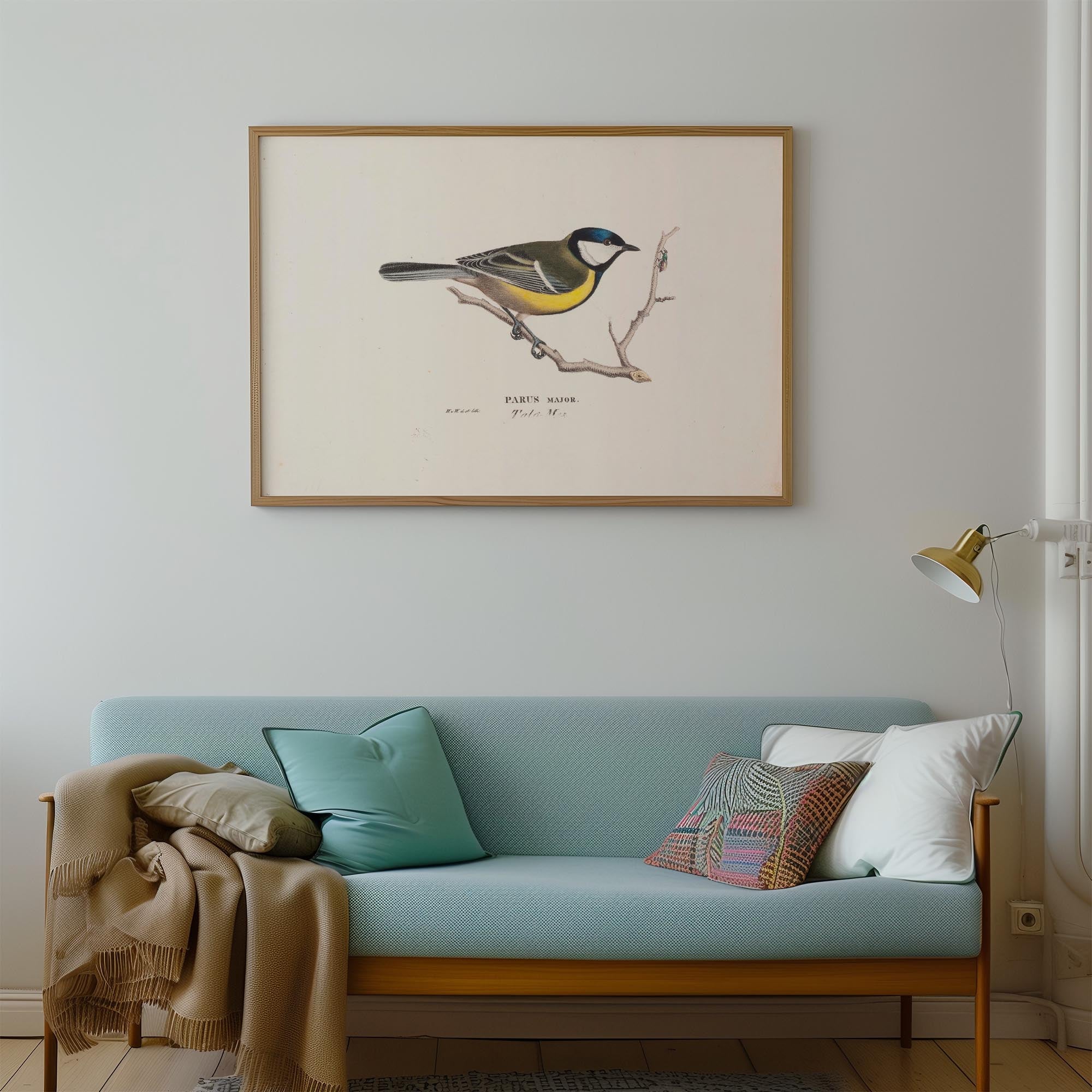 Great Tit Vintage Bird Illustration Wall Art Print-Skudaboo