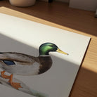 Vintage Duck Wildlife Art Print-Skudaboo