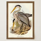 Heron Bird Vintage Nature Wall Art Print-Skudaboo