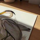 Heron Bird Vintage Nature Wall Art Print-Skudaboo