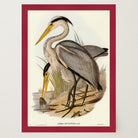 Heron Bird Vintage Nature Wall Art Print-Skudaboo