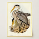 Heron Bird Vintage Nature Wall Art Print-Skudaboo
