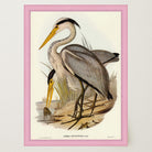 Heron Bird Vintage Nature Wall Art Print-Skudaboo