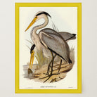 Heron Bird Vintage Nature Wall Art Print-Skudaboo
