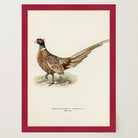 Pheasant Vintage Wildlife Wall Art Print-Skudaboo