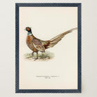 Pheasant Vintage Wildlife Wall Art Print-Skudaboo