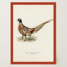 Pheasant Vintage Wildlife Wall Art Print-Skudaboo