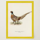 Pheasant Vintage Wildlife Wall Art Print-Skudaboo