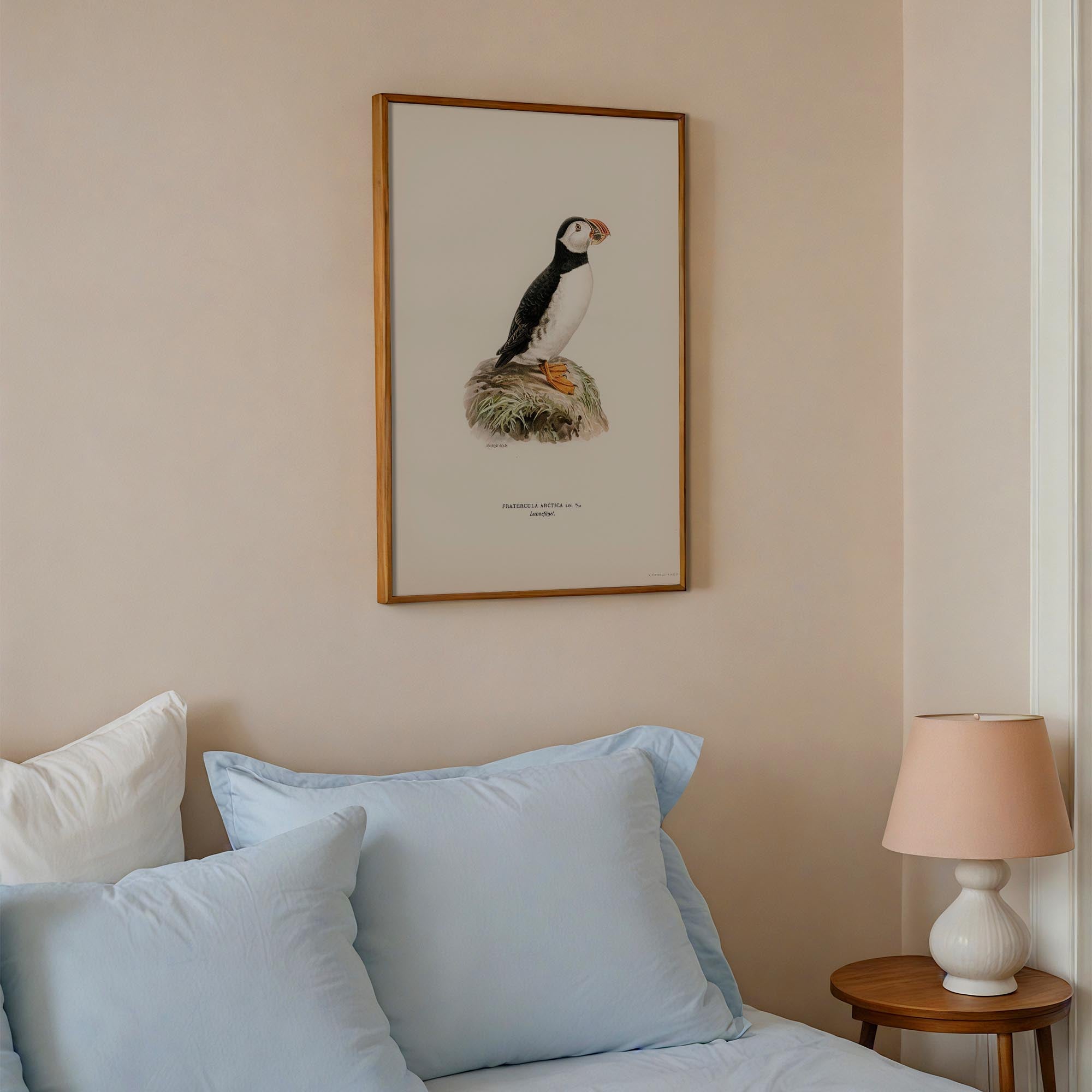 Atlantic Puffin Vintage Bird Wall Art Print-Skudaboo